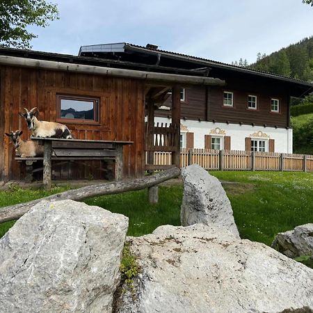 Appartements Zahnleiten Untertauern Extérieur photo