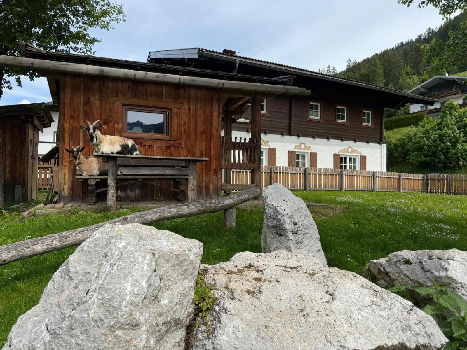 Appartements Zahnleiten Untertauern Extérieur photo